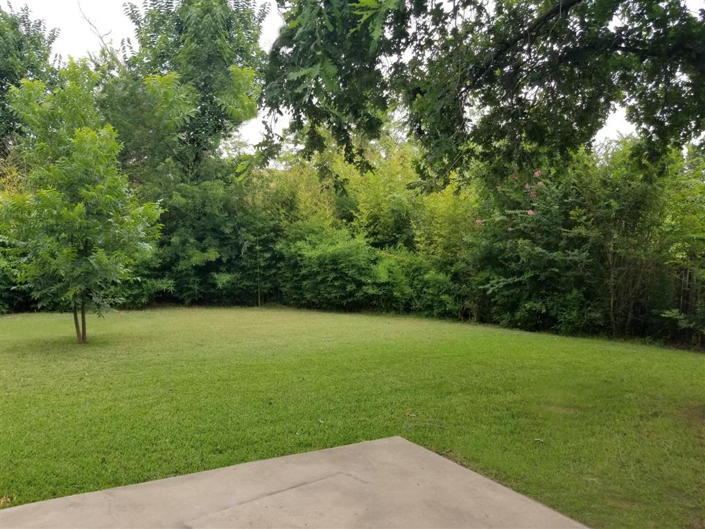 Huge Fenced Backyard