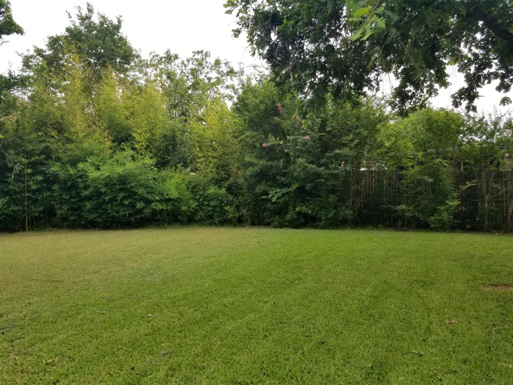 Large Outdoor Space