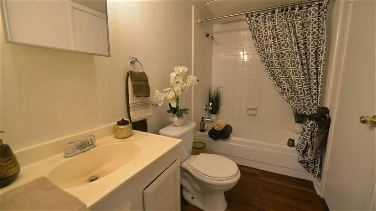 Updated Bathroom